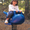 Whale Rider